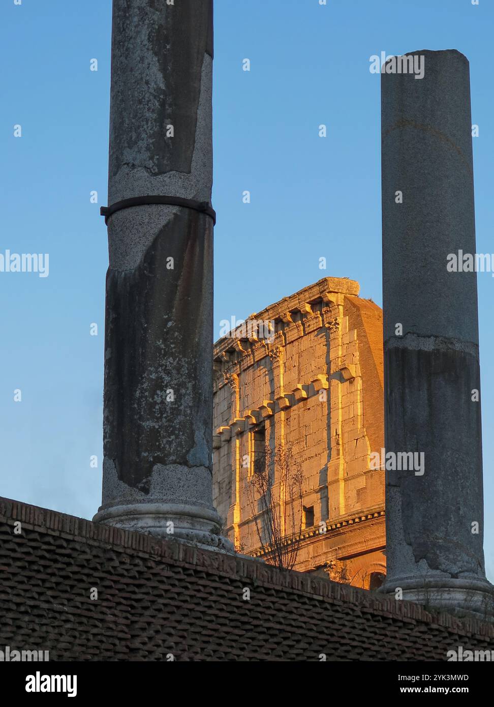 Colosseo, Roma, Italia Foto Stock