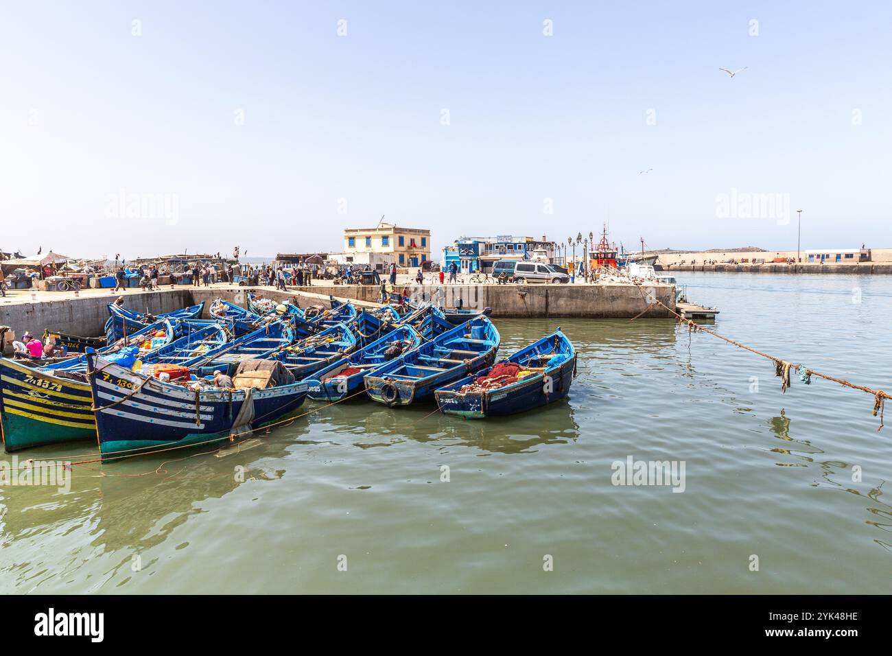 Barche da pesca artigianali, in legno dipinto di blu, nel porto di pescatori di Essaouira Foto Stock