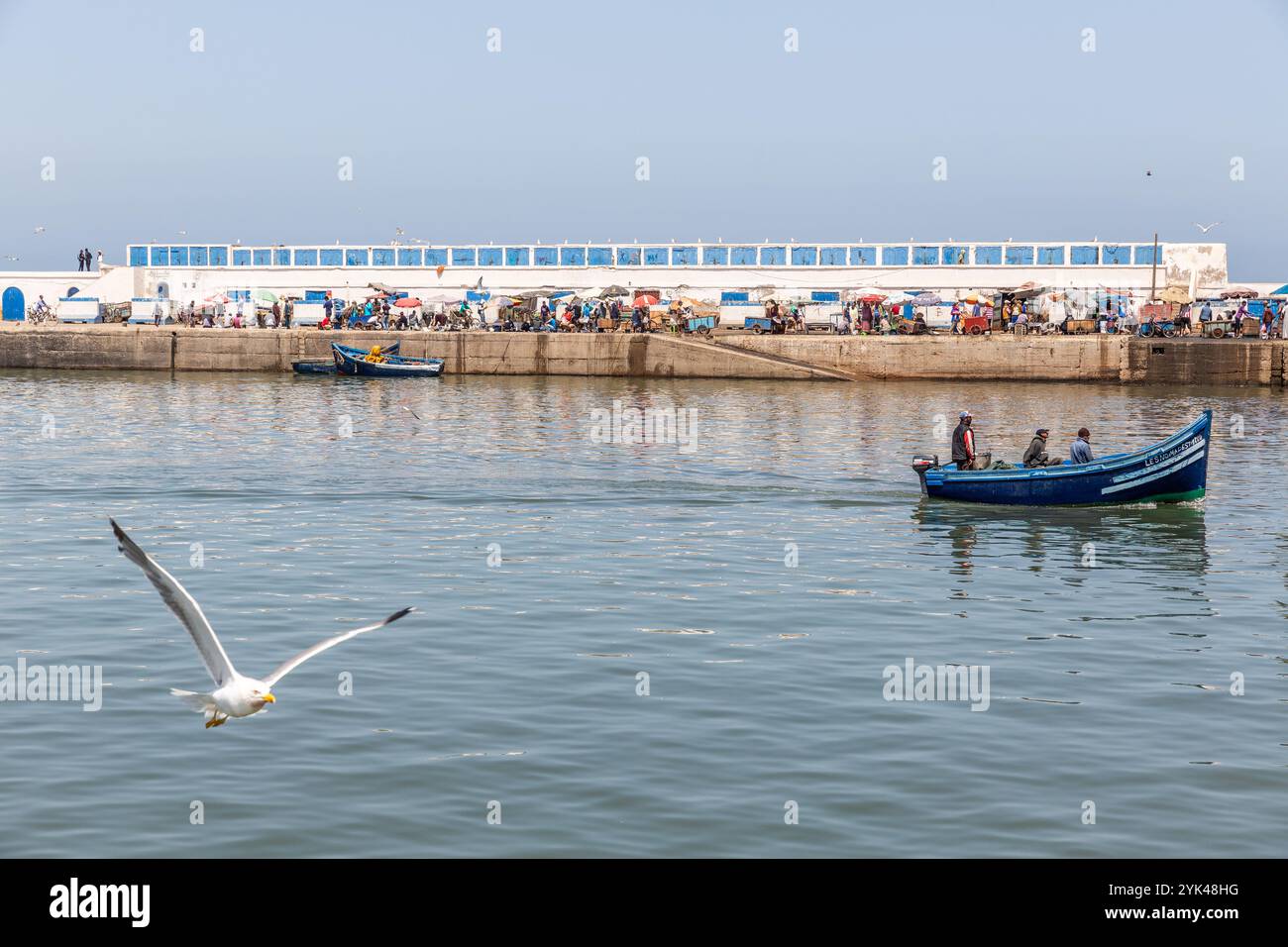 Vista del mercato del pesce nel porto peschereccio di Essaouira in Marocco Foto Stock