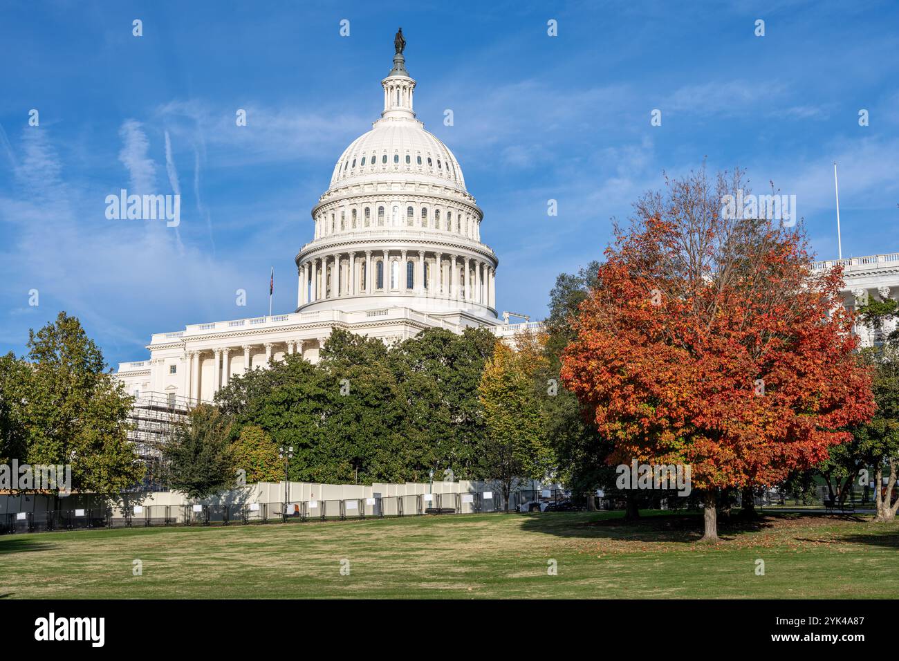 L'imponente Campidoglio degli Stati Uniti a Washington DC con alberi dai colori autunnali Foto Stock