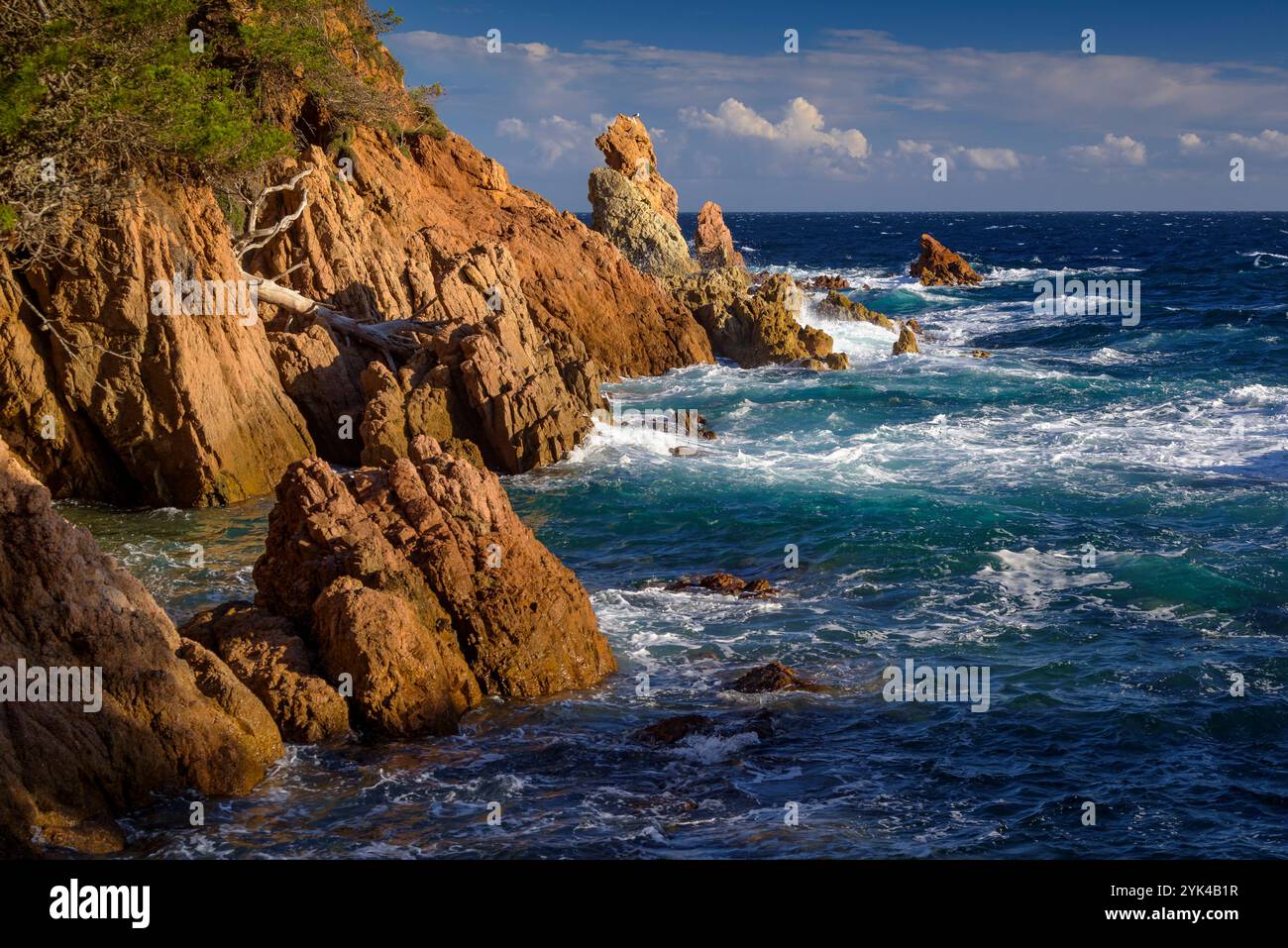 Baia Cala Canyers, sulla costa della Costa Brava, nel pomeriggio con forti onde nel mare (Baix Empordà, Girona, Catalogna, Spagna) Foto Stock