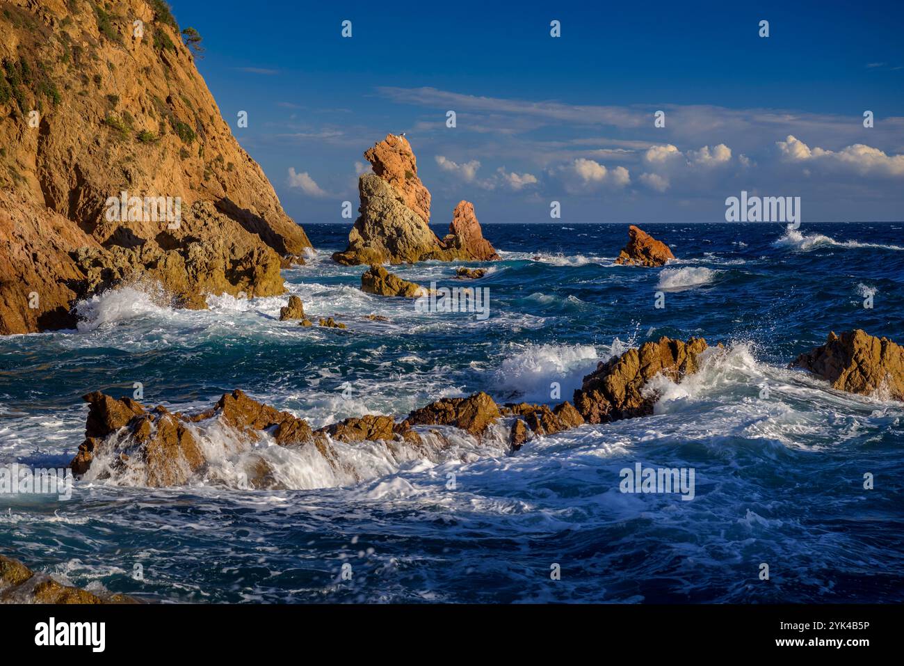 Baia Cala Canyers, sulla costa della Costa Brava, nel pomeriggio con forti onde nel mare (Baix Empordà, Girona, Catalogna, Spagna) Foto Stock