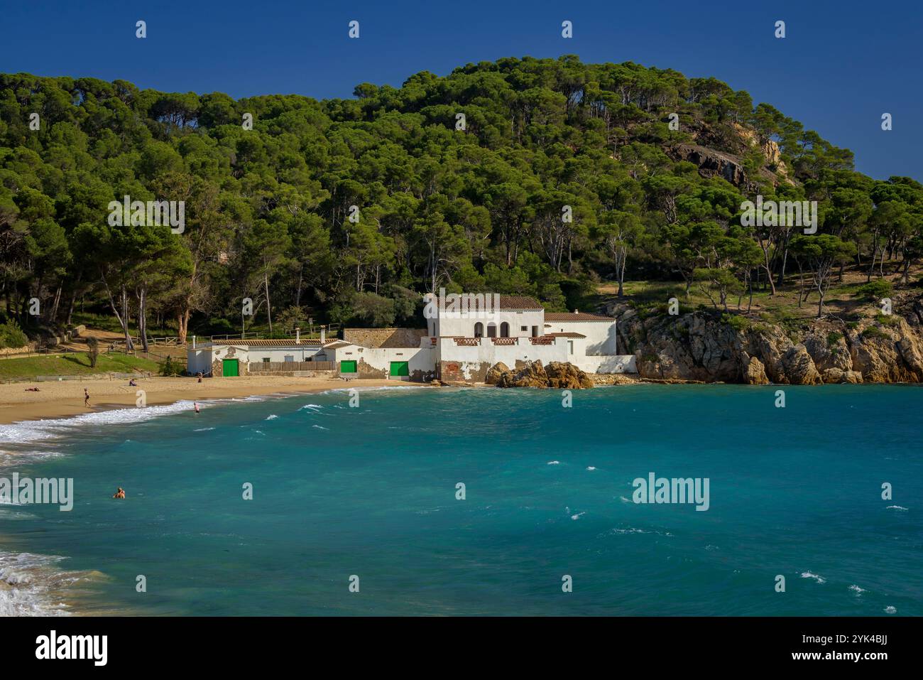 Spiaggia di Platja de Castell, sulla costa della Costa Brava, una baia quasi vergine vicino a Palamós (Baix Empordà, Girona, Catalogna, Spagna) Foto Stock