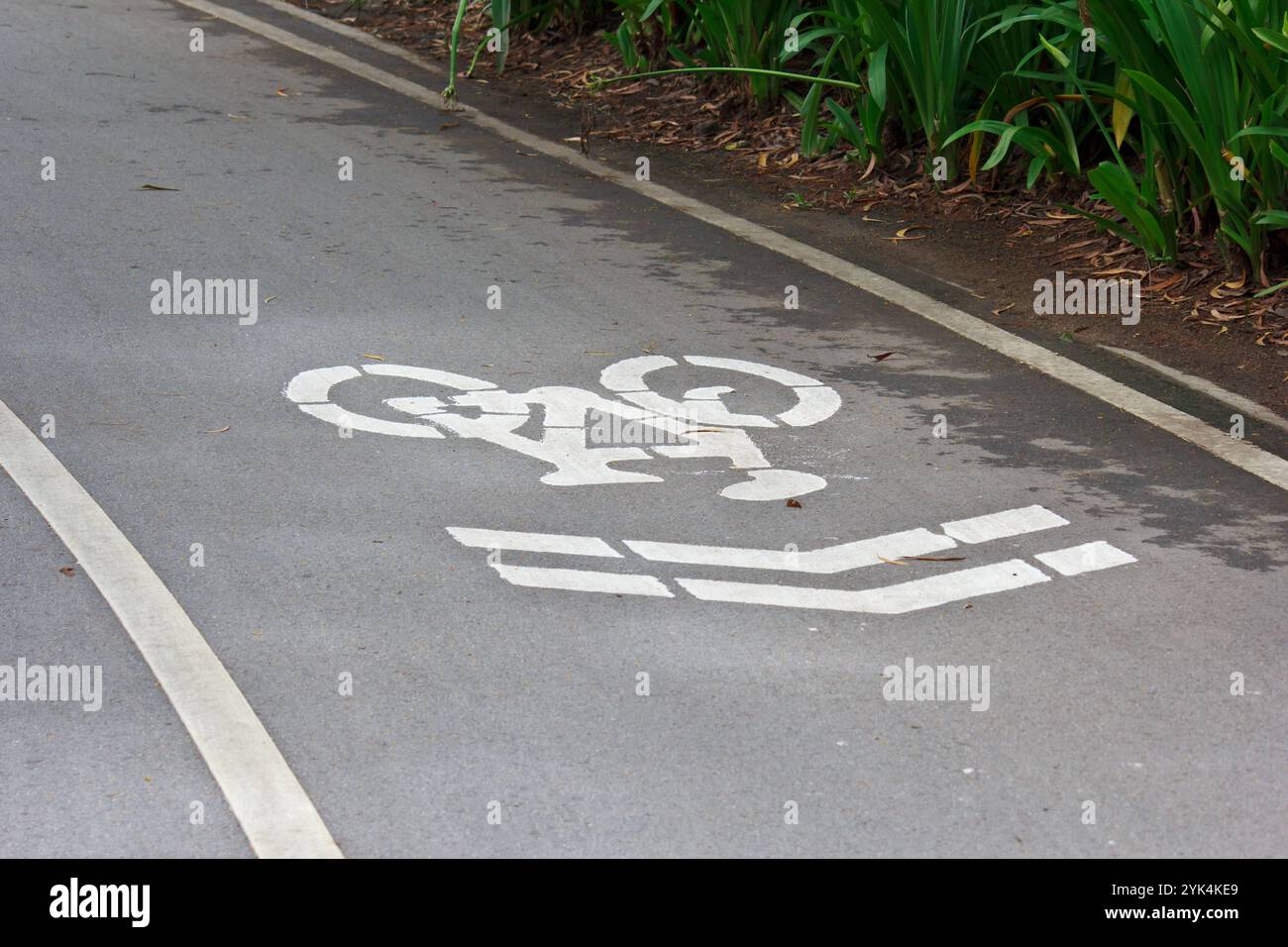 Cartello Bicycle Lane 2 Bike Lane Copyright: xZoonar.com/PlengsakxChuensriwirojx 1053980108st Foto Stock