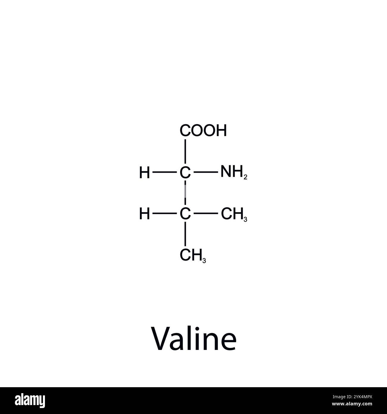 Formula chimica di valina. Aminoacidi essenziali. Chimica organica. Vettore. Illustrazione Vettoriale