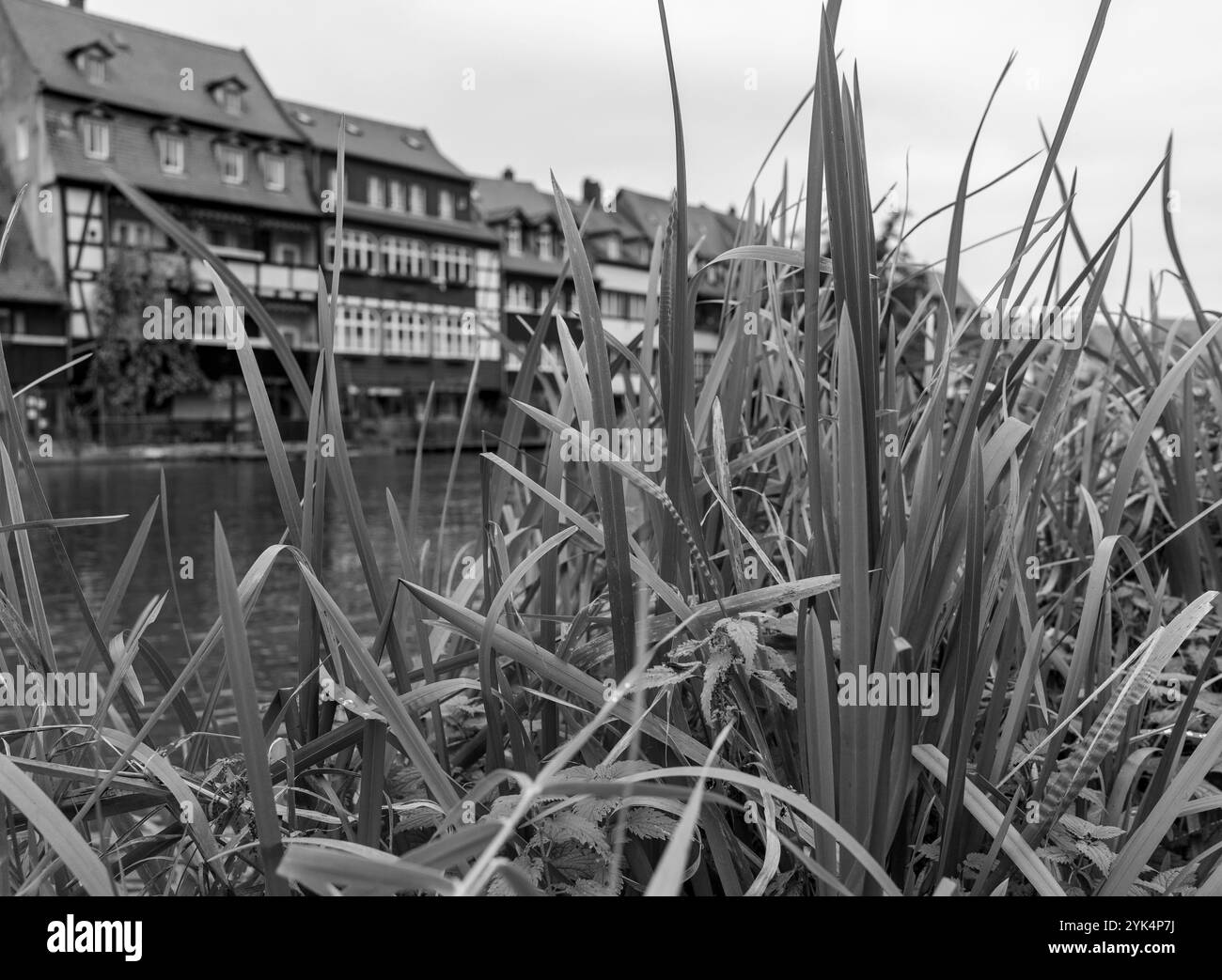 Fotografia in bianco e nero sulle rive del Regnitz con un taglio a Little Venice nella città di Bamberga alta Franconia Baviera Foto Stock