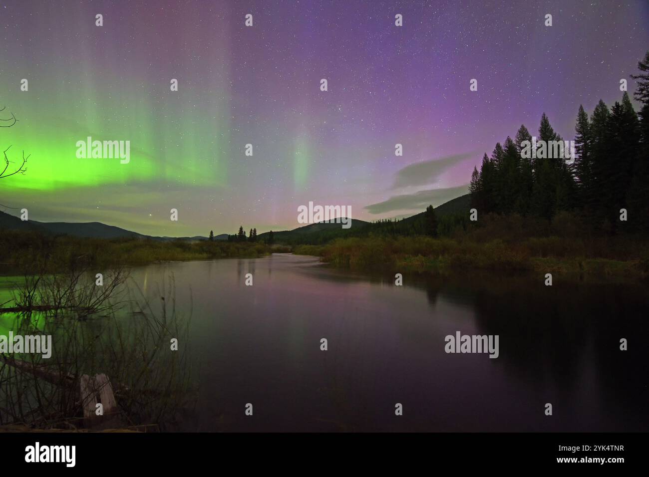 Aurora boreale sul fiume Yaak l'11 maggio 2024. Yaak Valley, Montana nord-occidentale. Foto Stock