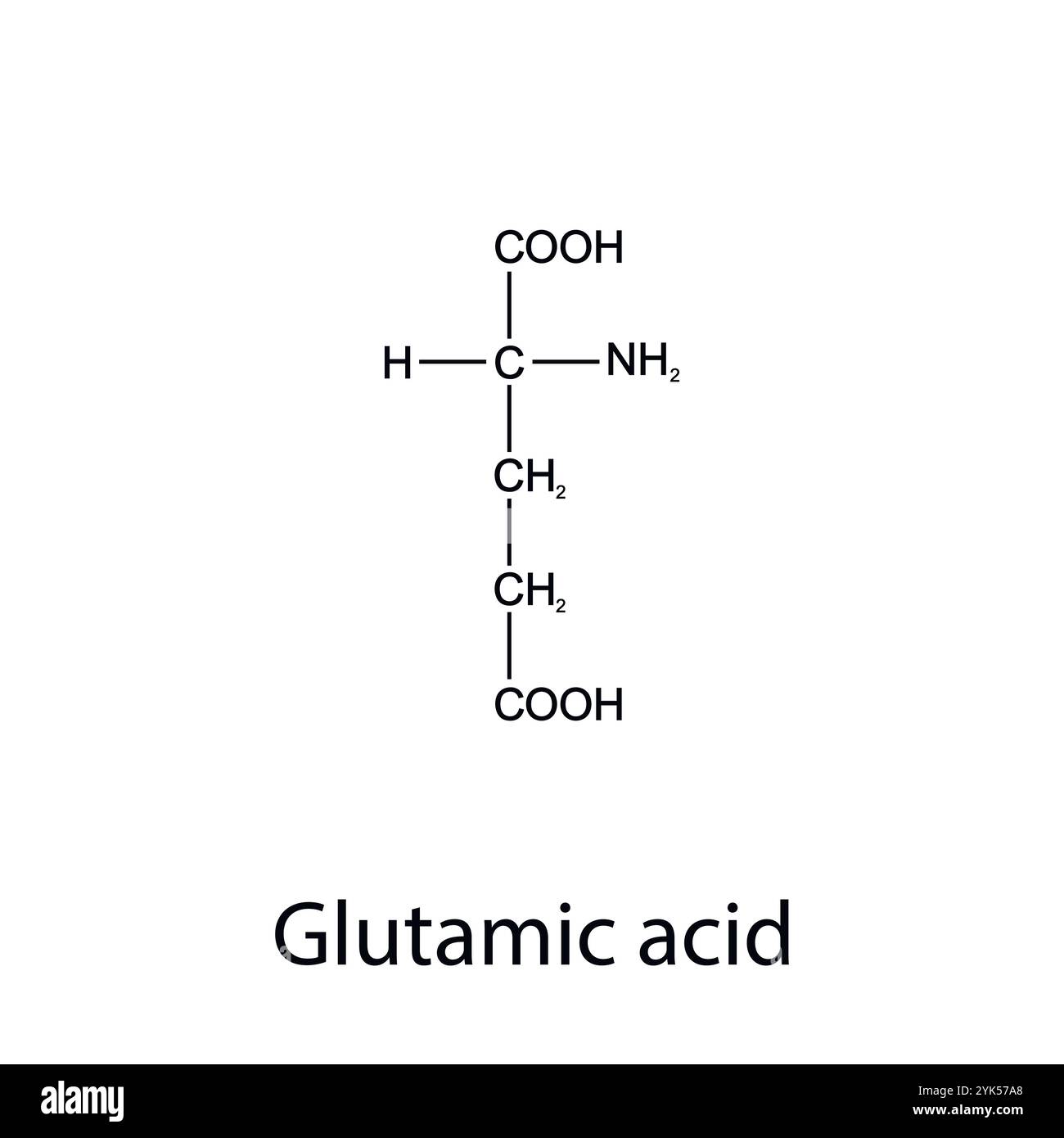Formula chimica dell'acido glutammico. Aminoacidi essenziali. Chimica organica. Vettore. Illustrazione Vettoriale