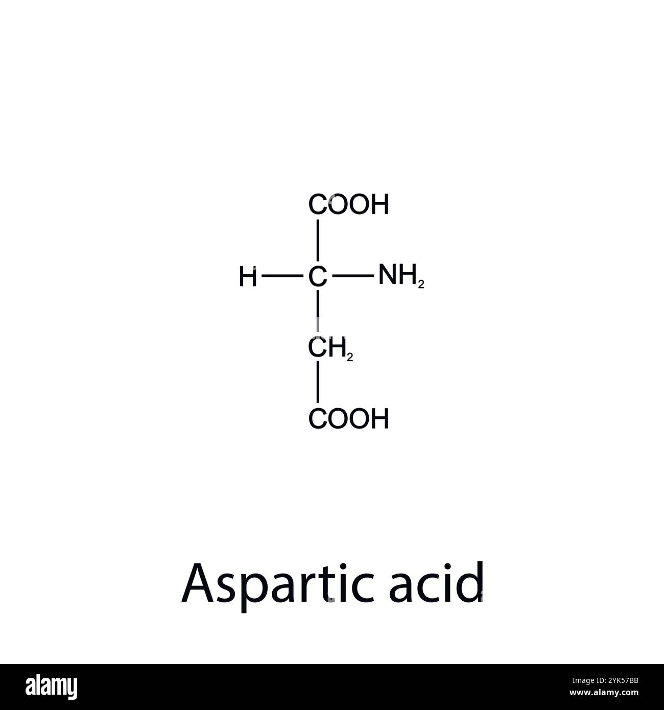 Formula chimica dell'acido aspartico. Aminoacidi essenziali. Chimica organica. Vettore. Illustrazione Vettoriale