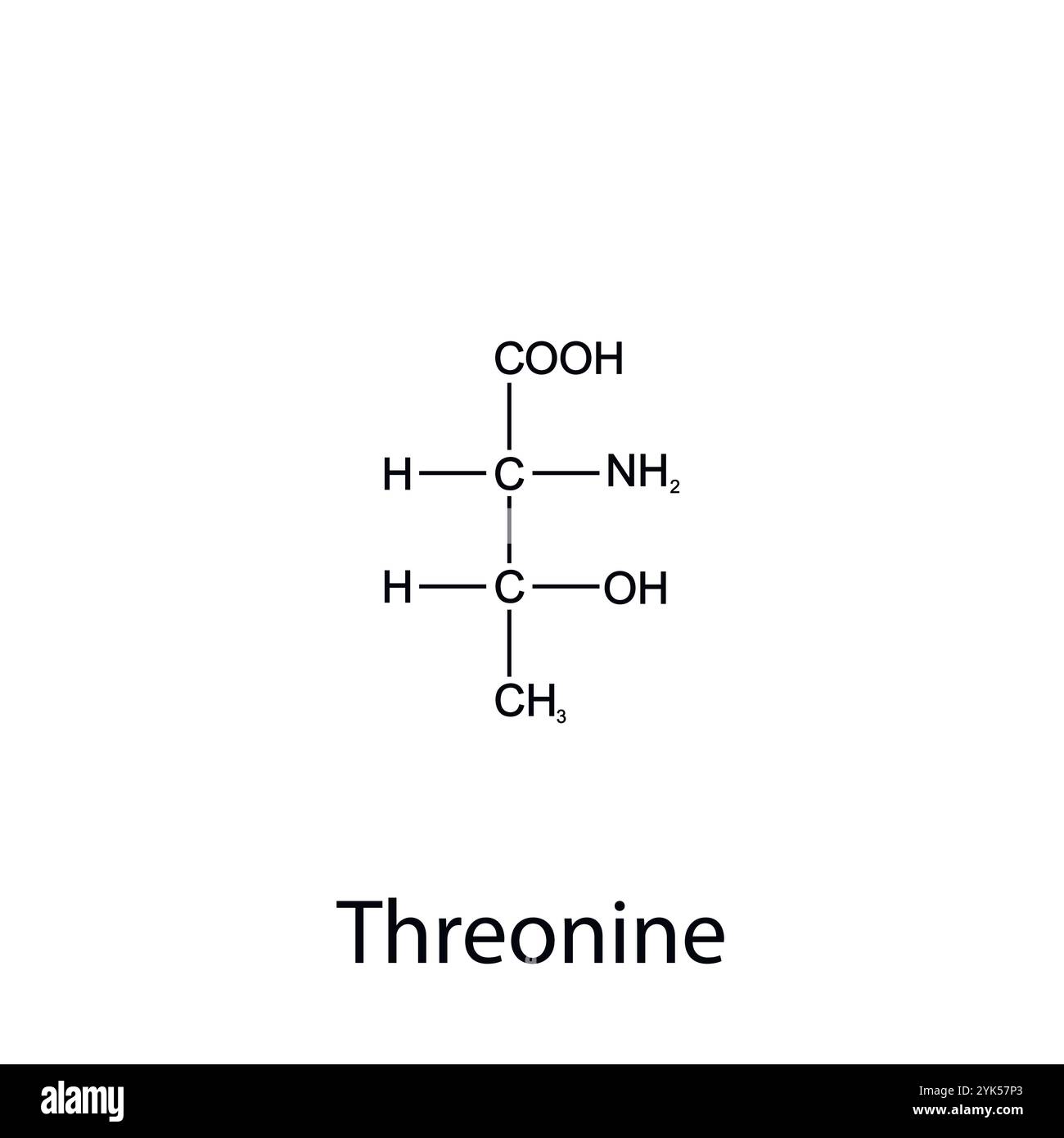 Formula chimica di treonina. Aminoacidi essenziali. Chimica organica. Vettore. Illustrazione Vettoriale
