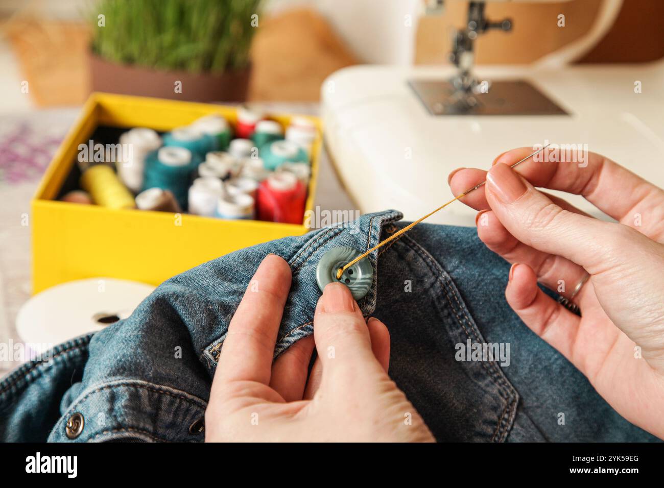 Donna che cucisce sul pulsante. Jeans con ago filettato per cucire. Primo piano. Stile di vita autentico. Fatto a mano Foto Stock