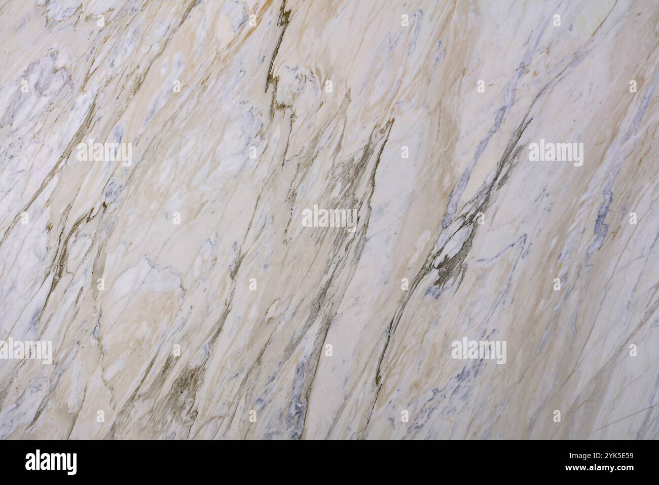 Elegante struttura in marmo naturale con motivi delicati, ideale per il design moderno degli interni. Foto Stock