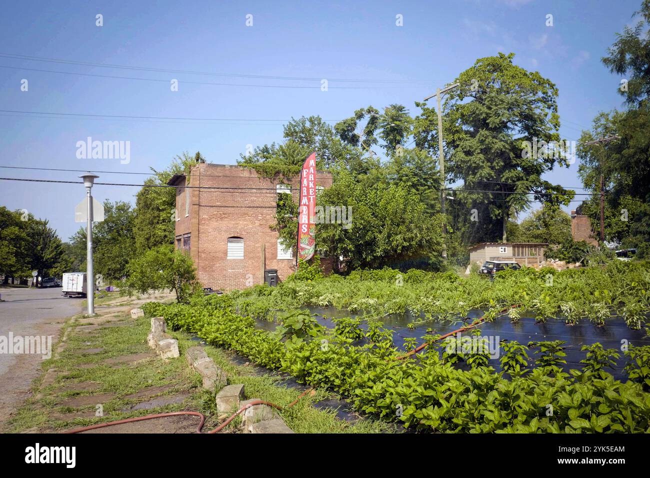 University of Maryland Extension Urban Farmer Field School organizza un evento educativo presso Plantation Park Heights Urban Farm (PPHUF) a Baltimora, Md., 24 luglio 2021. PPHUF è stato creato da Farmer Chippy (nella foto) e da un gruppo di cittadini caraibici/americani che desiderano apportare cambiamenti e avere un impatto positivo sulla vita dei giovani adulti che risiedono nella comunità di Park Heights, nonché concentrarsi sulla produzione e distribuzione di cibo per creare la prima “Agrihood” nella città di Baltimora, MD Foto USDA/FPAC di Preston Keres Foto Stock