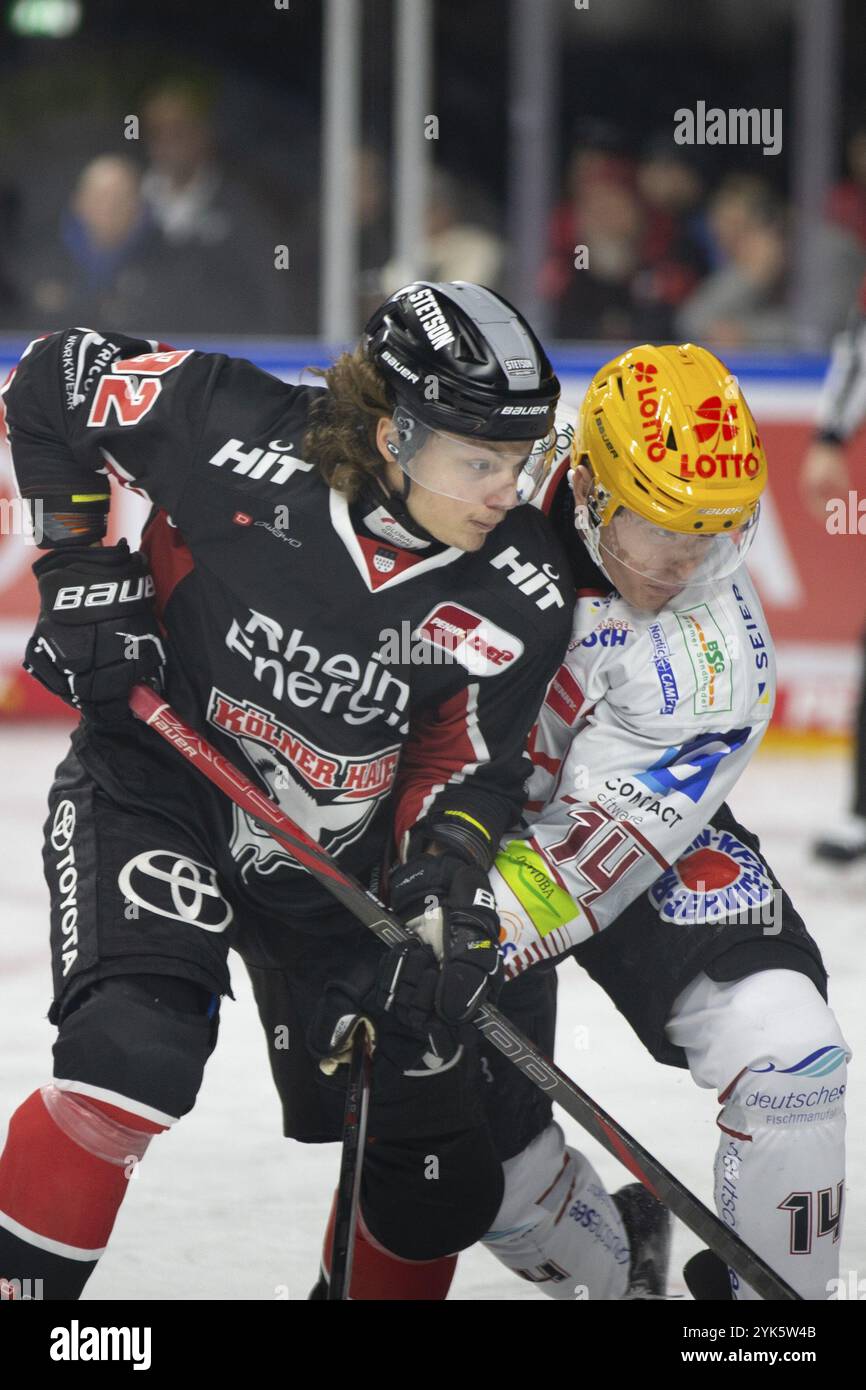 LanxessArena, Colonia, Renania settentrionale-Vestfalia, Hakon Haenelt (squali di Colonia, n. 92), Ross Mauermann (pinguini di Fischtown, n. 14), PENNY DEL, squalo di Colonia Foto Stock