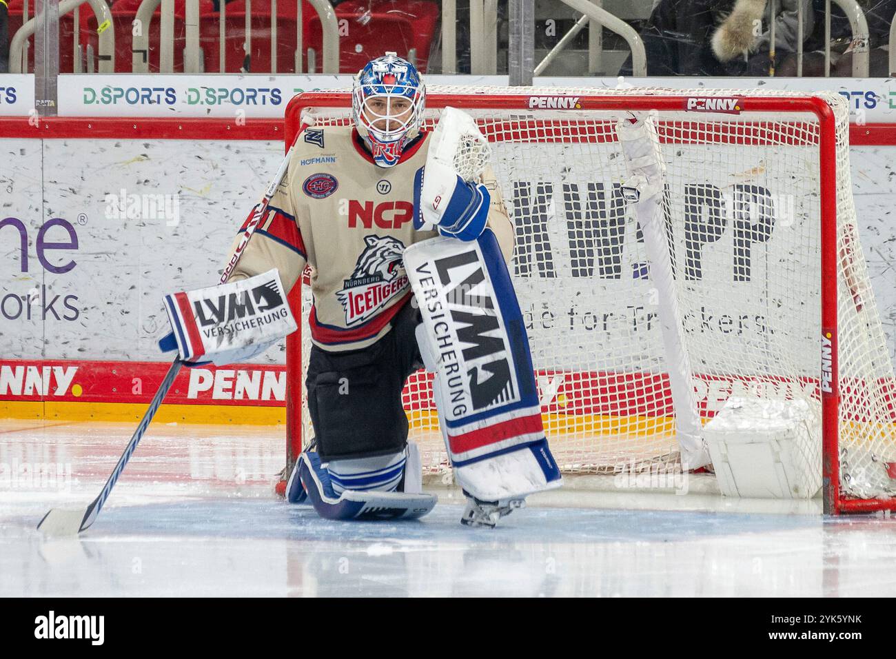 17.11.2024, Eishockey: Penny DEL, Saison 2024/2025, 17. Spieltag, Duesseldorfer EG - Nuernber Ice Tigers im PSD Bank Dome a Duesseldorf. Niklas Treutle (Nuernberg Ice Tigers, #31) wartet auf den Beginn des zweiten Drittels. Foto: Kirchner-Media/TH Foto Stock