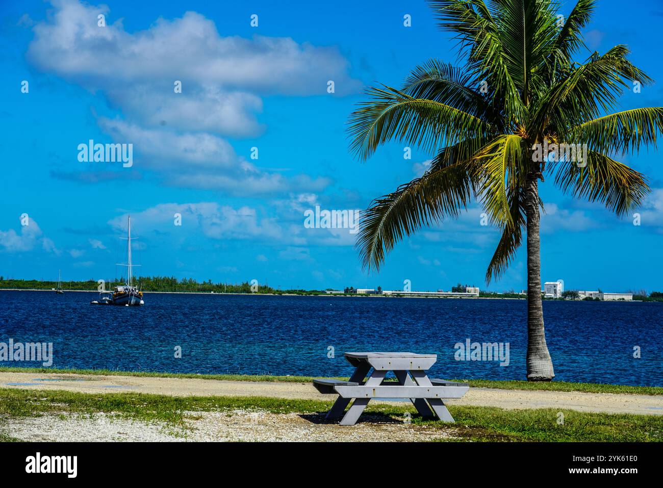 Immergiti nell'atmosfera rilassata di Key West! 🌊✨ raccogliamo i nostri amici, godiamo il momento e creiamo ricordi indimenticabili sotto le palme. Foto Stock