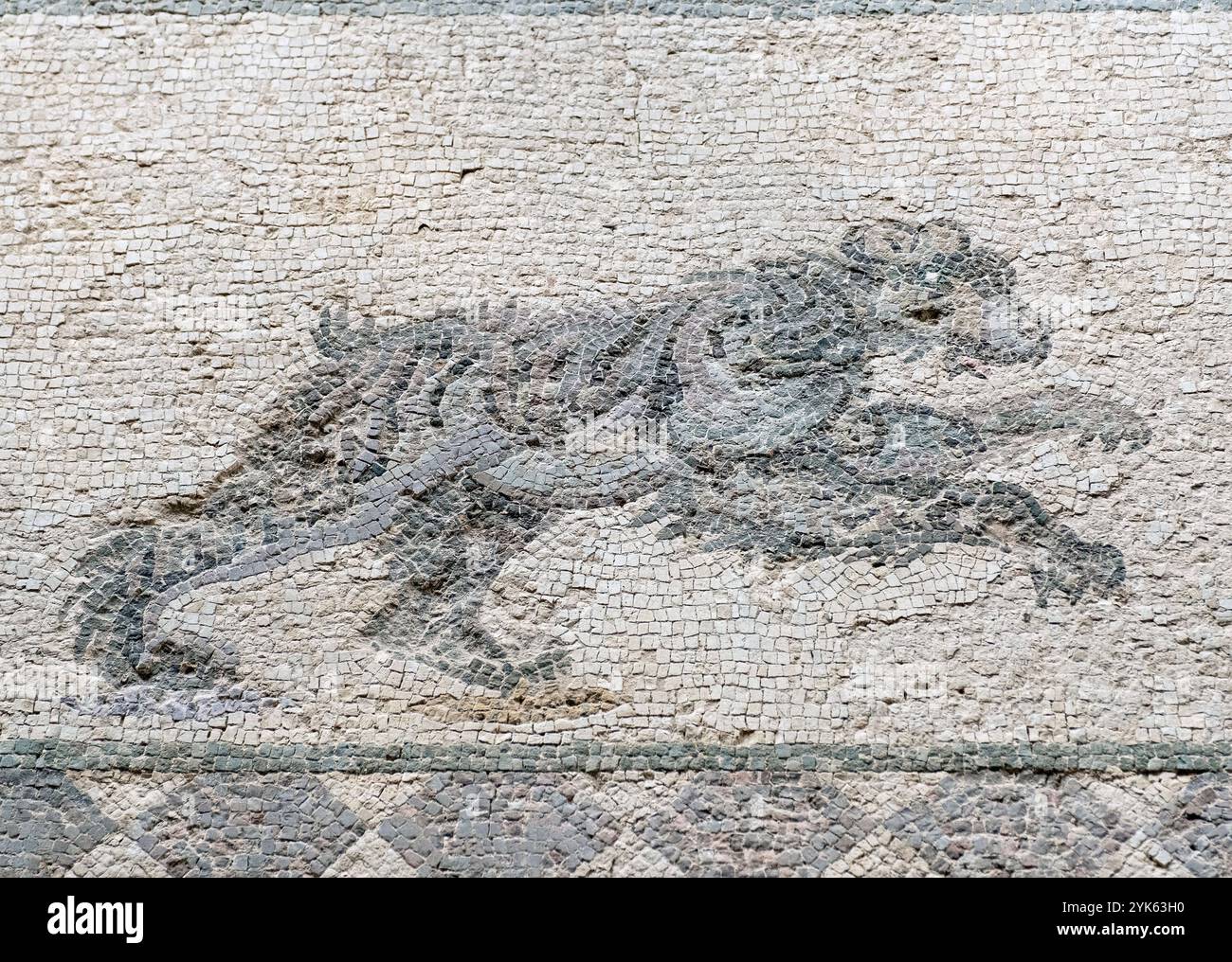 Mosaico della scena di caccia raffigurante l'orso arunning, Pafos, la casa di Dioniso, il portico orientale, il parco archeologico, Paphos, Repubblica di Cipro. Foto Stock