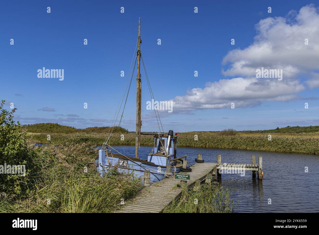 Nella zona di sosta Nymindegab, Jutland, Danimarca, Europa Foto Stock