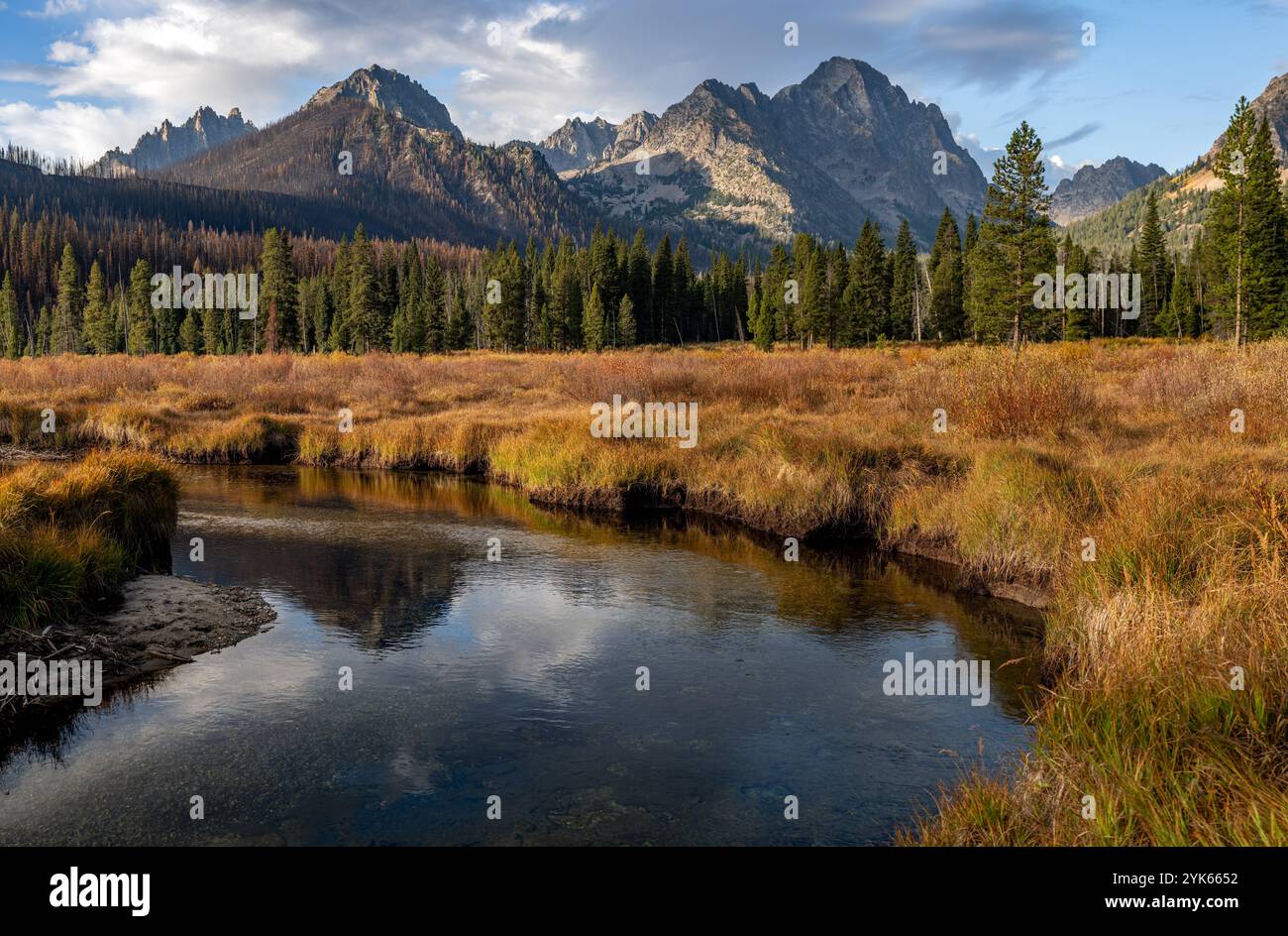 Bellissimo prato di montagna con torrente Foto Stock