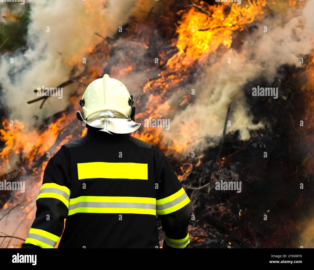 Pompiere sul retro del fuoco della foresta e fumo, vista posteriore Foto Stock