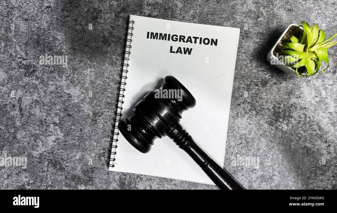 Concetto di legge sull'immigrazione scrivere su libro isolato su tavolo di legno. Foto Stock