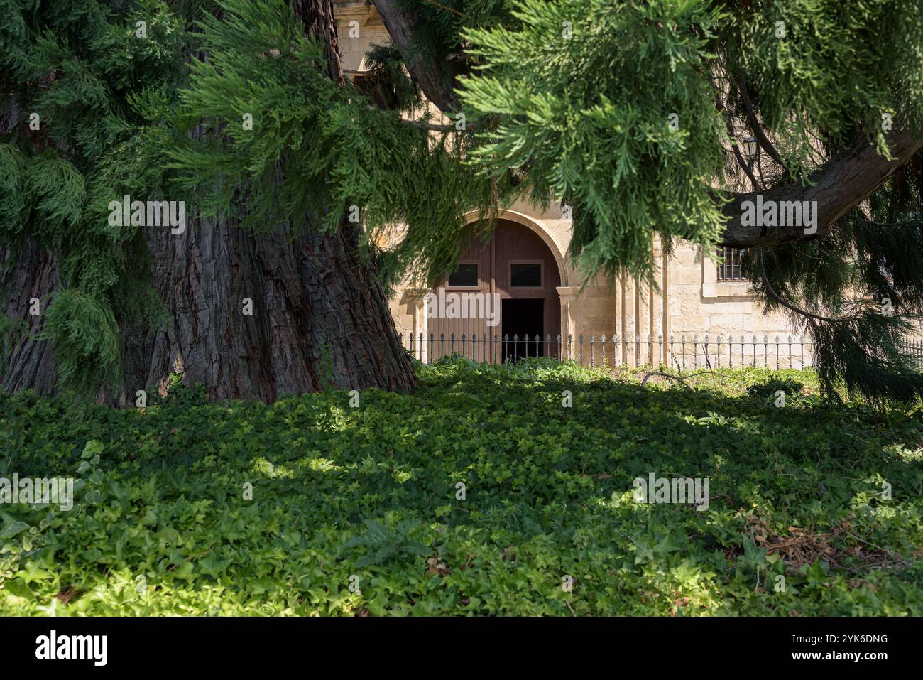 Vecchia porta aperta in legno marrone del Monastero di Silos, Santo Domingo de Silos, Burgos, Spagna Foto Stock