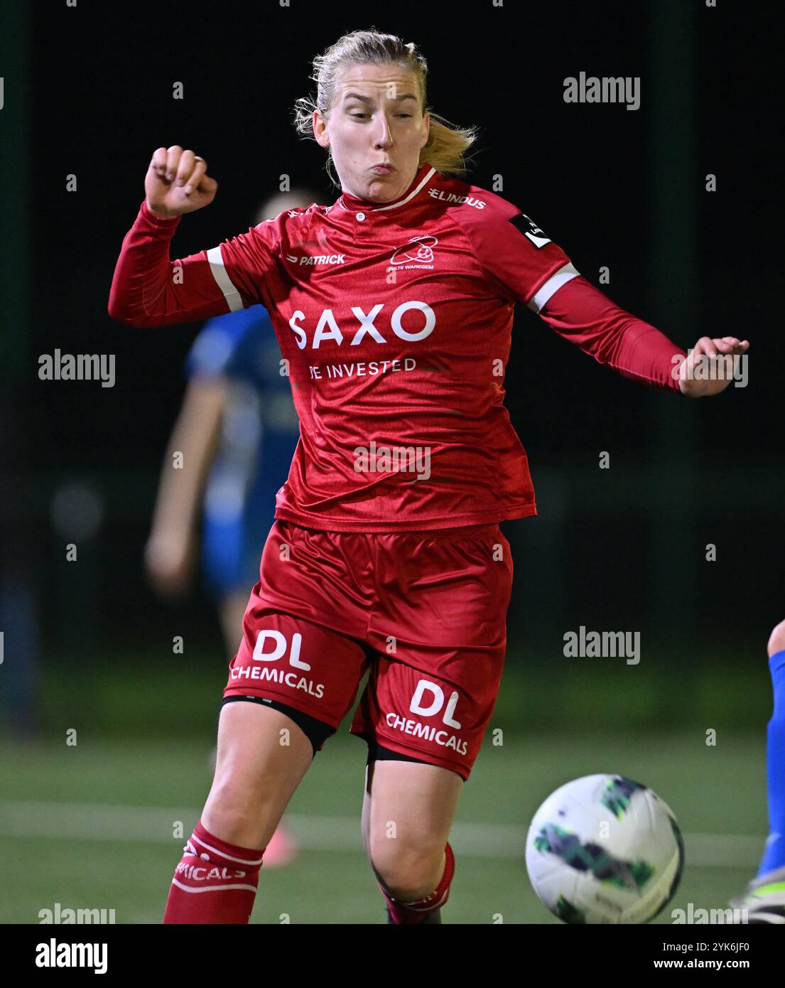 Laura Vervacke (20) di Zulte-Waregem nella foto durante una partita di calcio femminile tra Zulte-Waregem dames e KRC Genk Ladies nella decima giornata della stagione 2024 - 2025 della belga lotto Womens Super League, sabato 16 novembre 2024 a Waregem, BELGIO. FOTO SPORTPIX | David Catry Foto Stock