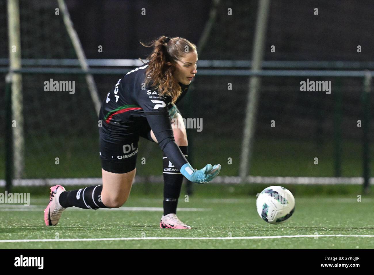 Waregem, Belgio. 16 novembre 2024. Portiere lotto Hemminga (1) di Zulte-Waregem nella foto durante una partita di calcio femminile tra Zulte-Waregem dames e KRC Genk Ladies nella decima giornata della stagione 2024 - 2025 della belga lotto Womens Super League, sabato 16 novembre 2024 a Waregem, BELGIO. Crediti: Sportpix/Alamy Live News Foto Stock