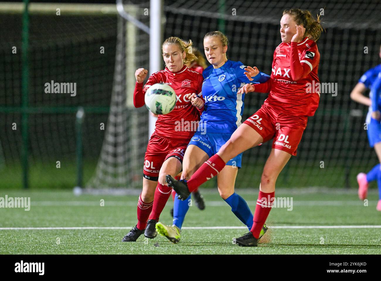 Waregem, Belgio. 16 novembre 2024. Laura Vervacke (20) di Zulte-Waregem, Luna Vanhoudt (4) di Genk e Loes Van Mullem (33) di Zulte-Waregem nella foto di una partita di calcio femminile tra Zulte-Waregem dames e KRC Genk Ladies nella decima giornata della stagione 2024 - 2025 della belga lotto Womens Super League, sabato 16 novembre 2024 a Waregem, BELGIO. Crediti: Sportpix/Alamy Live News Foto Stock