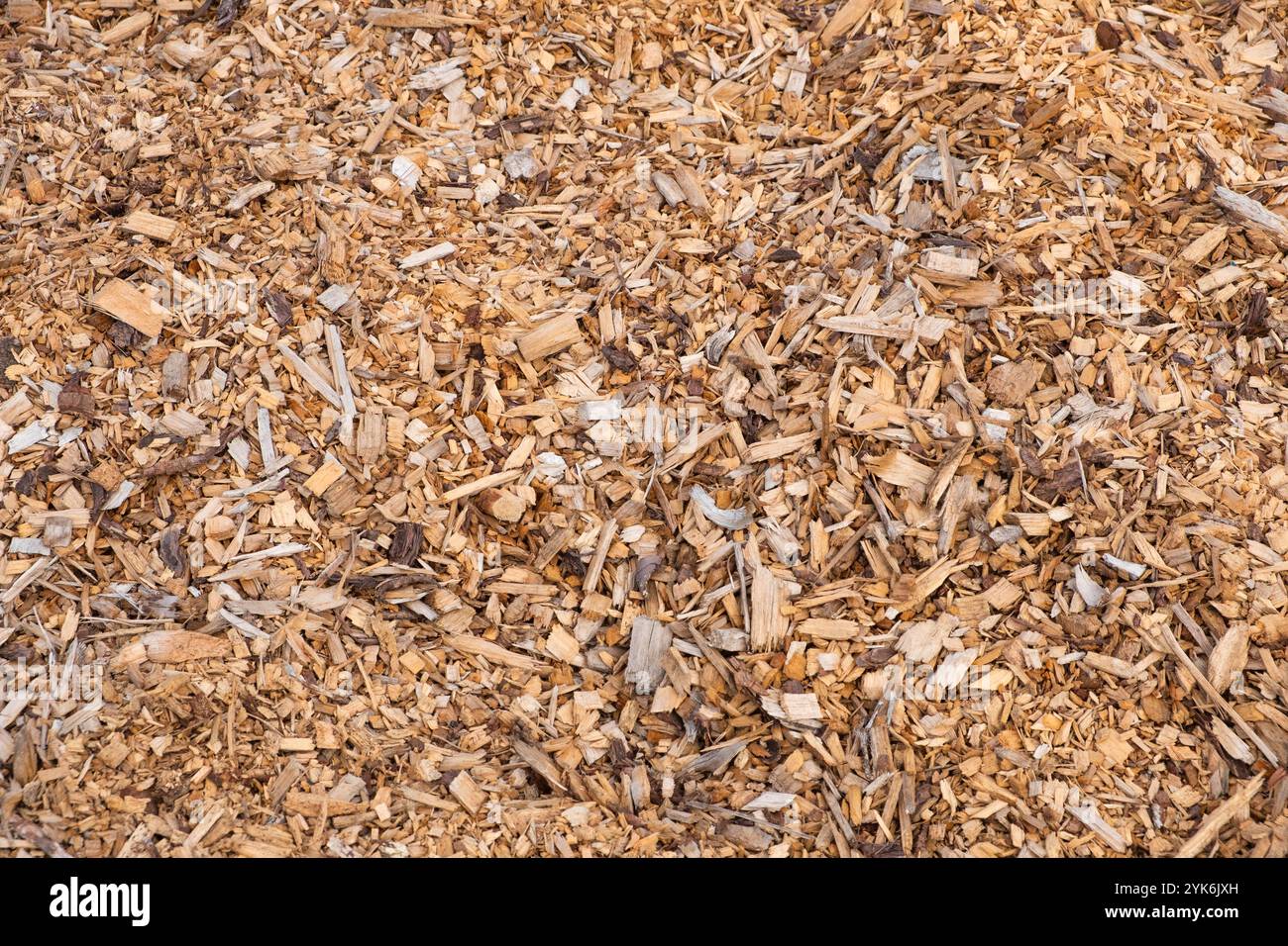 trucioli di legno, pacciame per pavimenti forestali. sfondo di trucioli di legno Foto Stock