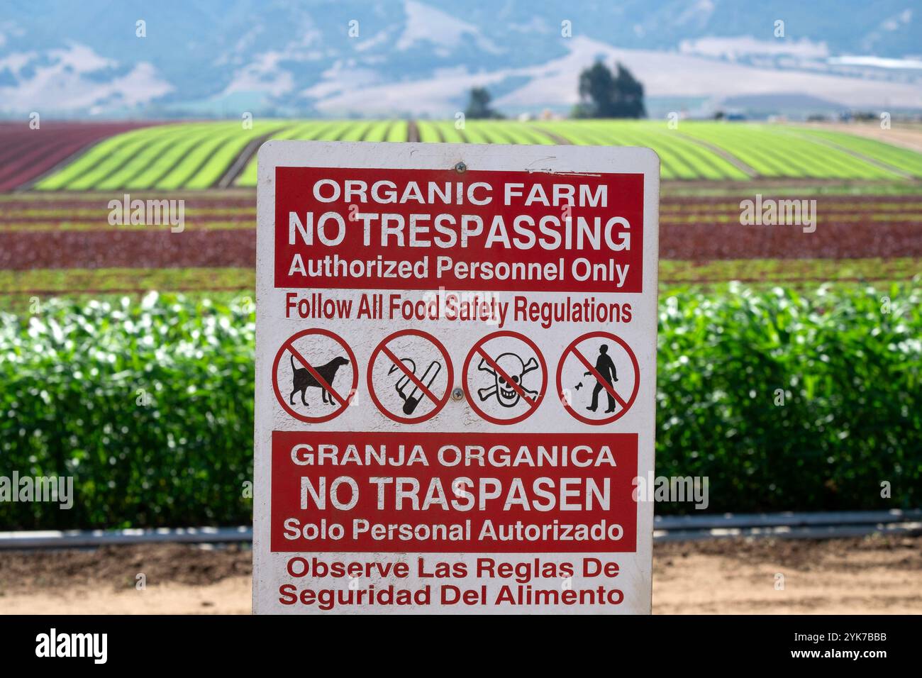 Nessun segno di violazione con regole e regolamenti per le colture agricole biologiche in California Foto Stock