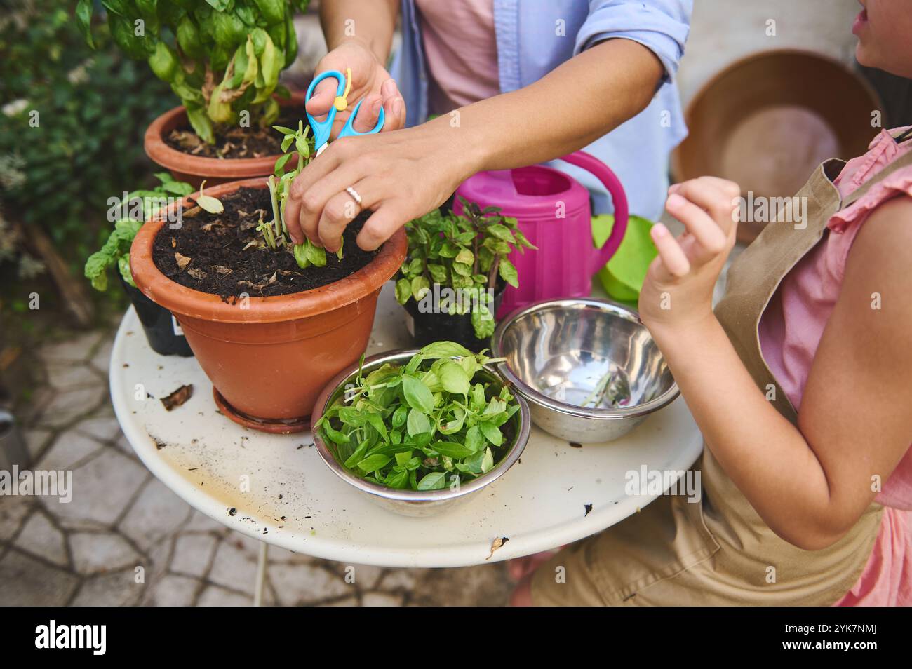 Un bambino e un adulto si dedicano al giardinaggio insieme, rifilando le piante in pentole su un patio. Insegnare, nutrire e imparare a conoscere la natura creano un'esperienza di legame Foto Stock