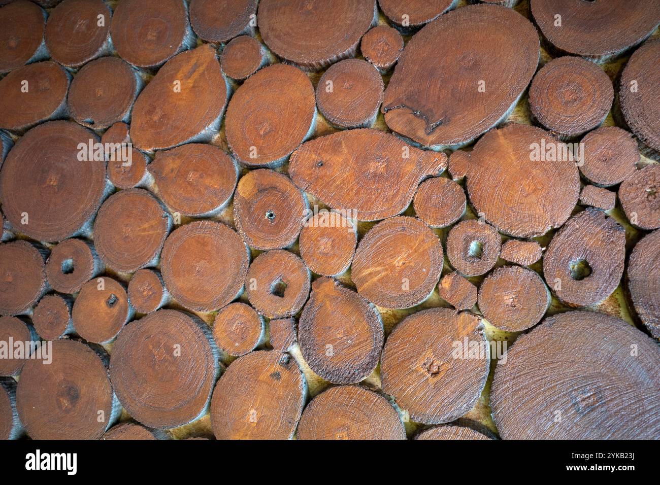 Disposizione a mosaico in legno di teak per uno sfondo naturale. Foto Stock