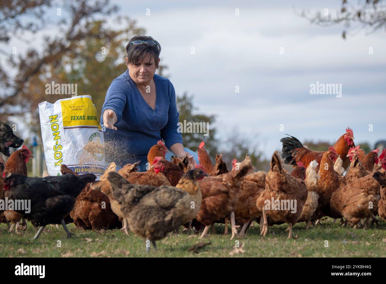 L'agricoltore nativo americano e insegnante in pensione Jerri Parker è cresciuta in agricoltura, ma ora gestisce la sua fattoria diversificata a Cromwell, Oklahoma. Con case a cerchio, verdure, 300 polli, uova e manzo, iniziò a vendere al pubblico nel 2004. Foto USDA di Preston Keres. Foto Stock