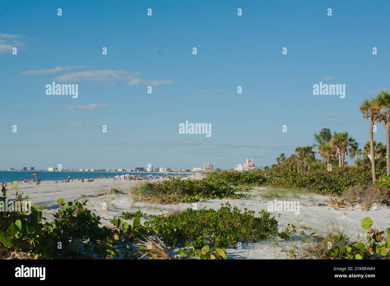 Ampia vista incorniciata a nord, verde avena, linee principali, St. Pete Beach, Florida, Pass-a-Grille Beach dopo gli Hurricanes Helene e Milton, accanto al Golfo di Mexi Foto Stock
