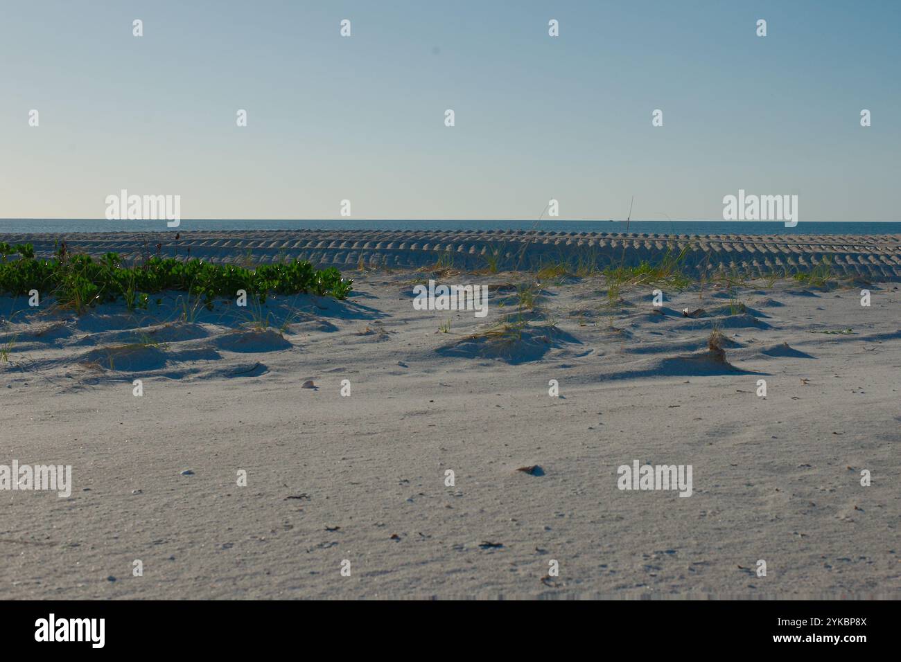 Ammira a ovest l'avena verde del mare e le tracce di pneumatici delle dune di sabbia dalle dune rinomate della spiaggia. A St. Pete Beach, Florida, Pass-a-Grille Beach dopo gli Hurricanes Foto Stock