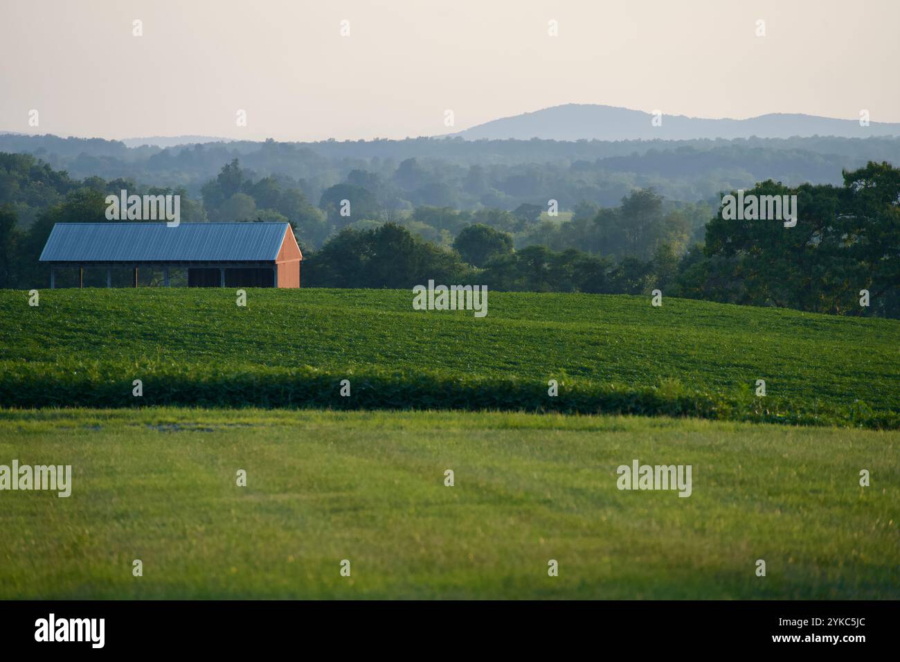 La luce della sera cade sul Parco Nazionale di Shenandoah in lontananza e un campo di agricoltori e fienile in primo piano al tramonto. Foto Stock