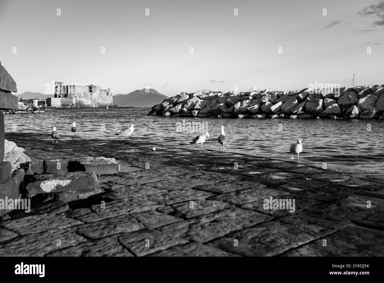 Castel dell'Ovo, dal punto di vista lietrale, il Castello delle uova è un castello sul mare di Napoli, situato sull'ex isola di Megaride, ora penisola, sul Golfo di N Foto Stock