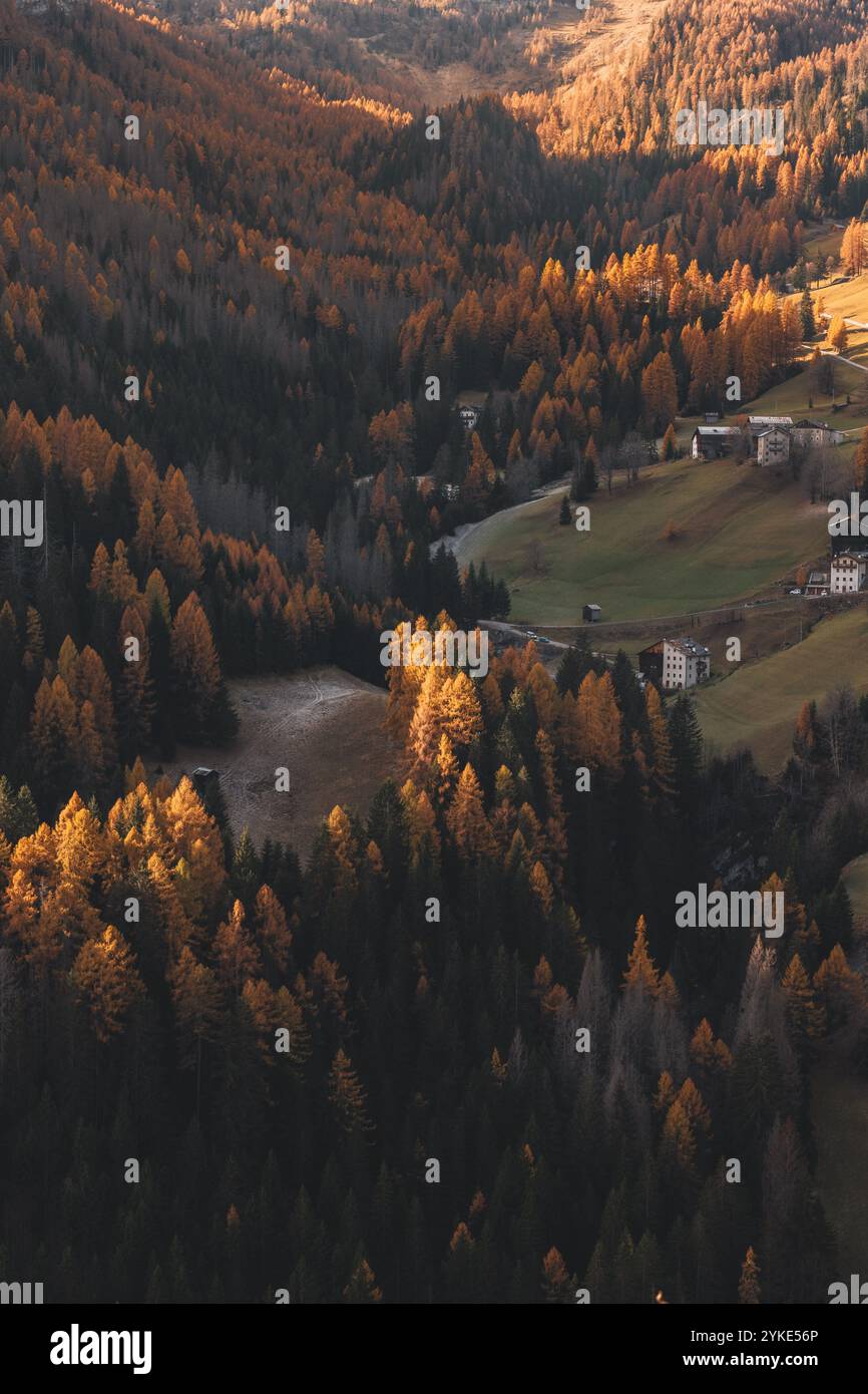 Blick auf das kleine Gebirgsdorf Ornella und die Lärchenwälder im Bezirk Venetien in Südtirol im Herbst AM 09.11.2024. // Vista del piccolo paese di montagna di Ornella nel Veneto in alto Adige in autunno il 9 novembre 2024. - 20241109 PD20610 credito: APA-PictureDesk/Alamy Live News Foto Stock