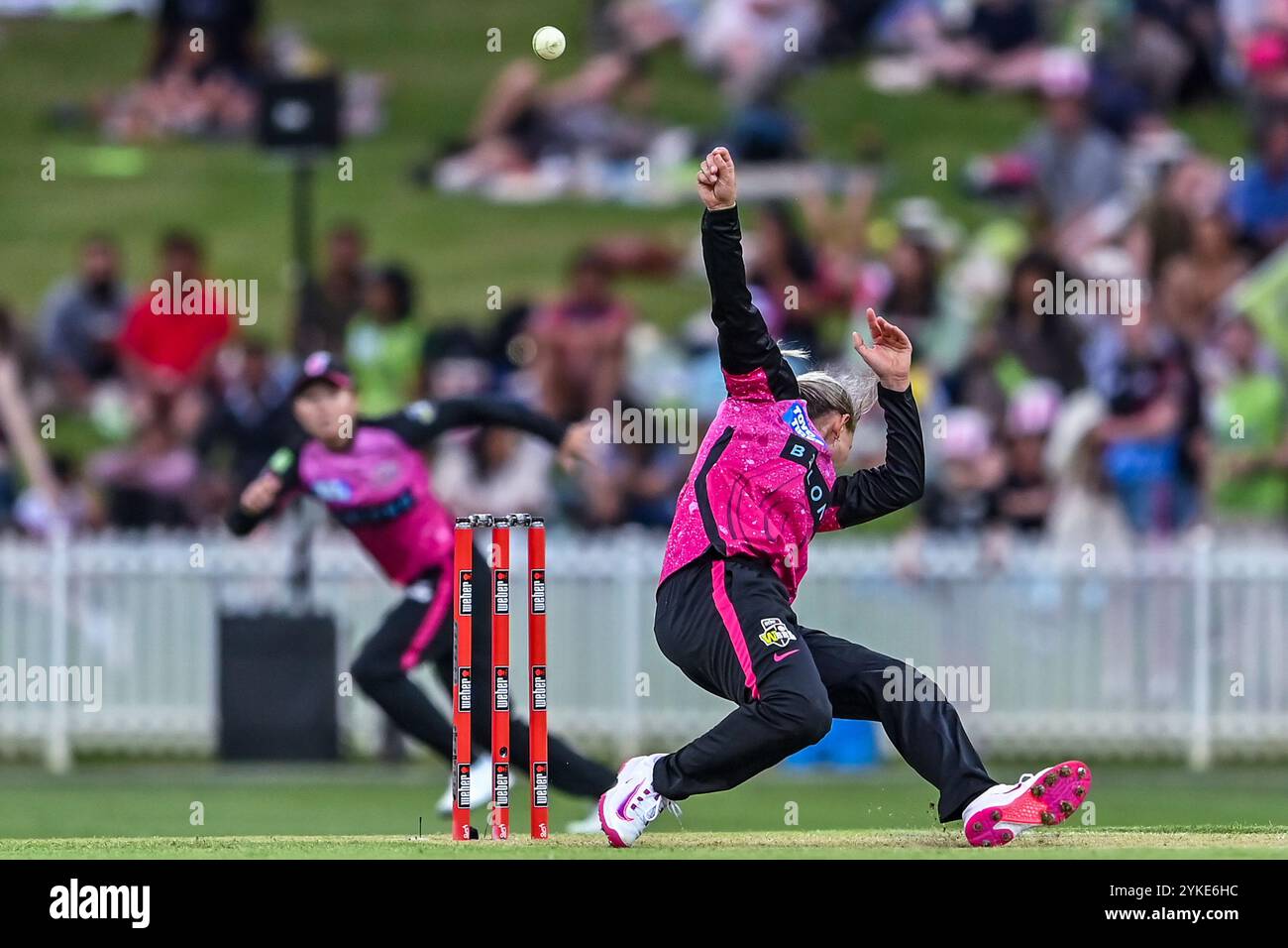 Sydney, Australia. 17 novembre 2024. Ashleigh Gardner dei Sydney Sixers tenta di prendere la palla dopo il bowling a Sammy-Jo Johnson (non nella foto) dei Sydney Thunder durante la partita di Big Bash League femminile tra Sydney Thunder e Sydney Sixers al Drummoyne Oval. Il match di Big Bash League femminile tra Sydney Thunder e Sydney Sixers a Drummoyne Oval si è concluso in un No Result, in quanto il match è stato fermato a causa della pioggia. Sydney Thunder: 121/10 (19,5 over), Sydney Sixers: 9/1 (2,0 over). Credito: SOPA Images Limited/Alamy Live News Foto Stock