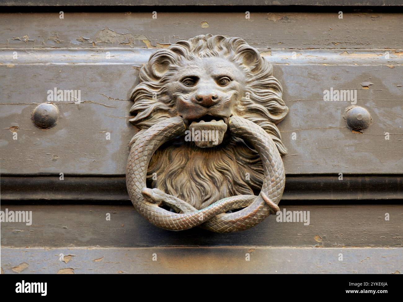 Bussano alla porta. Leone con un serpente in bocca. Foto Stock
