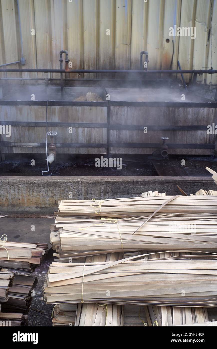 Cottura a vapore del legno per ammorbidire e piegare Foto Stock