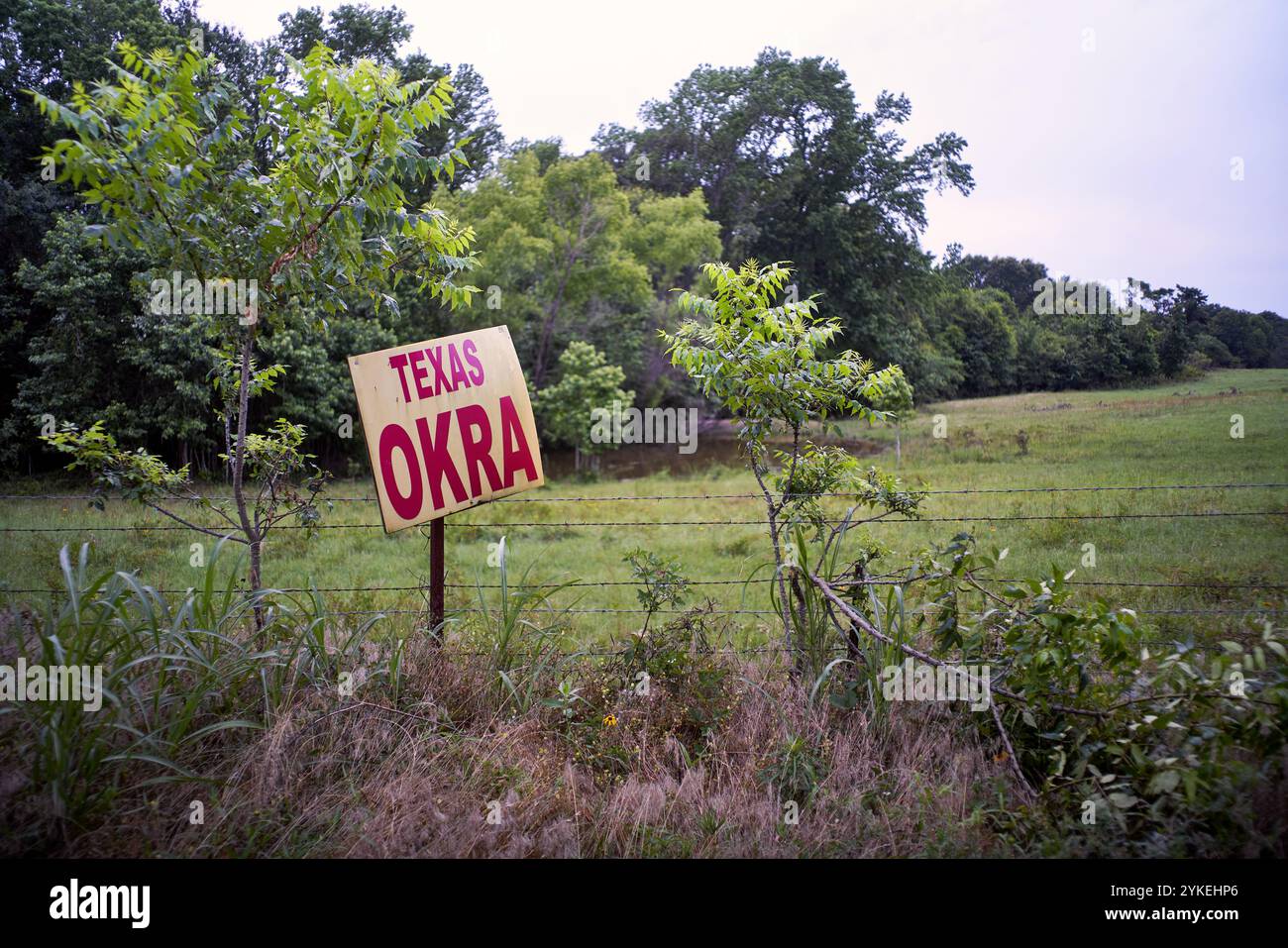 Insegna del Texas okra in Texas orientale Foto Stock
