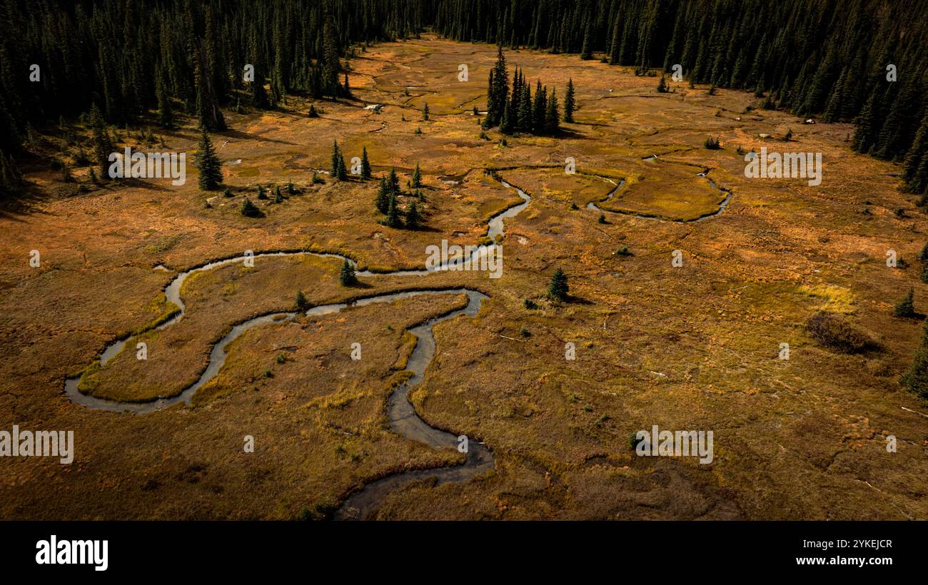 Washington Autumn nel nord-ovest dell'Alpine Pacific Foto Stock