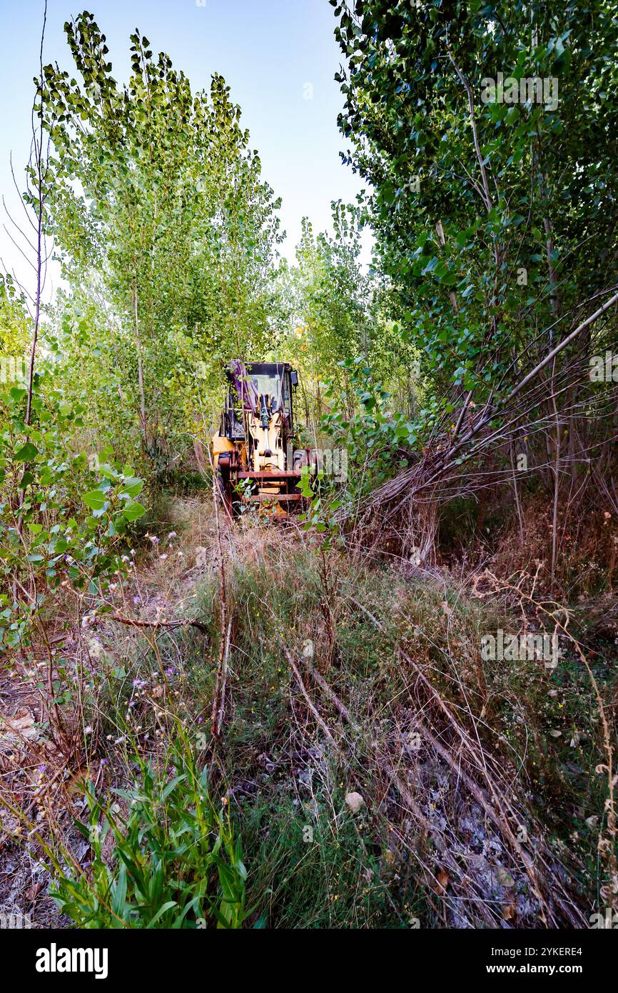 Foto verticale di una pala da escavatore abbandonata nella foresta. Foto Stock