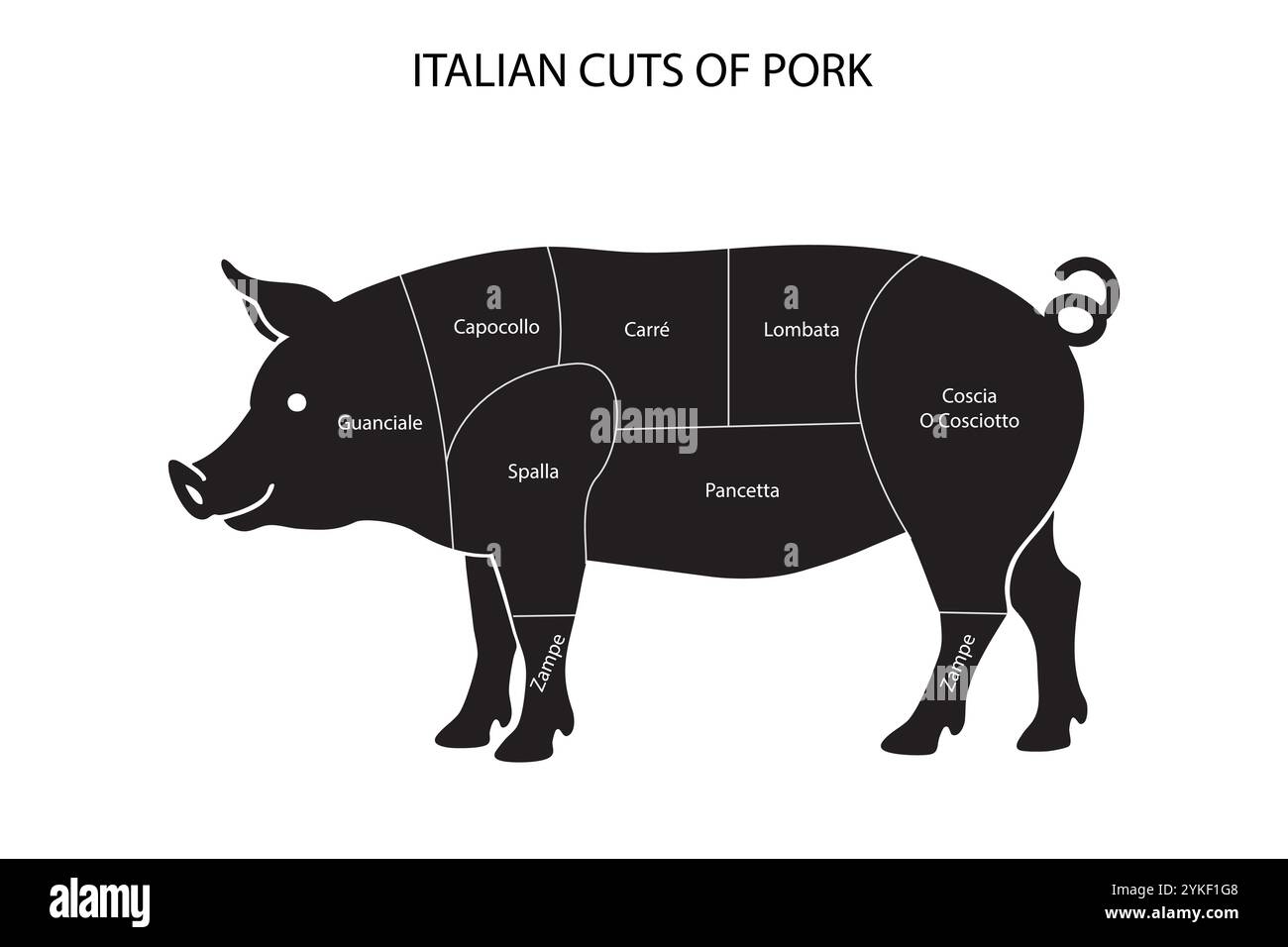 Grafico illustrato che mostra i tagli di maiale italiani etichettati Illustrazione Vettoriale