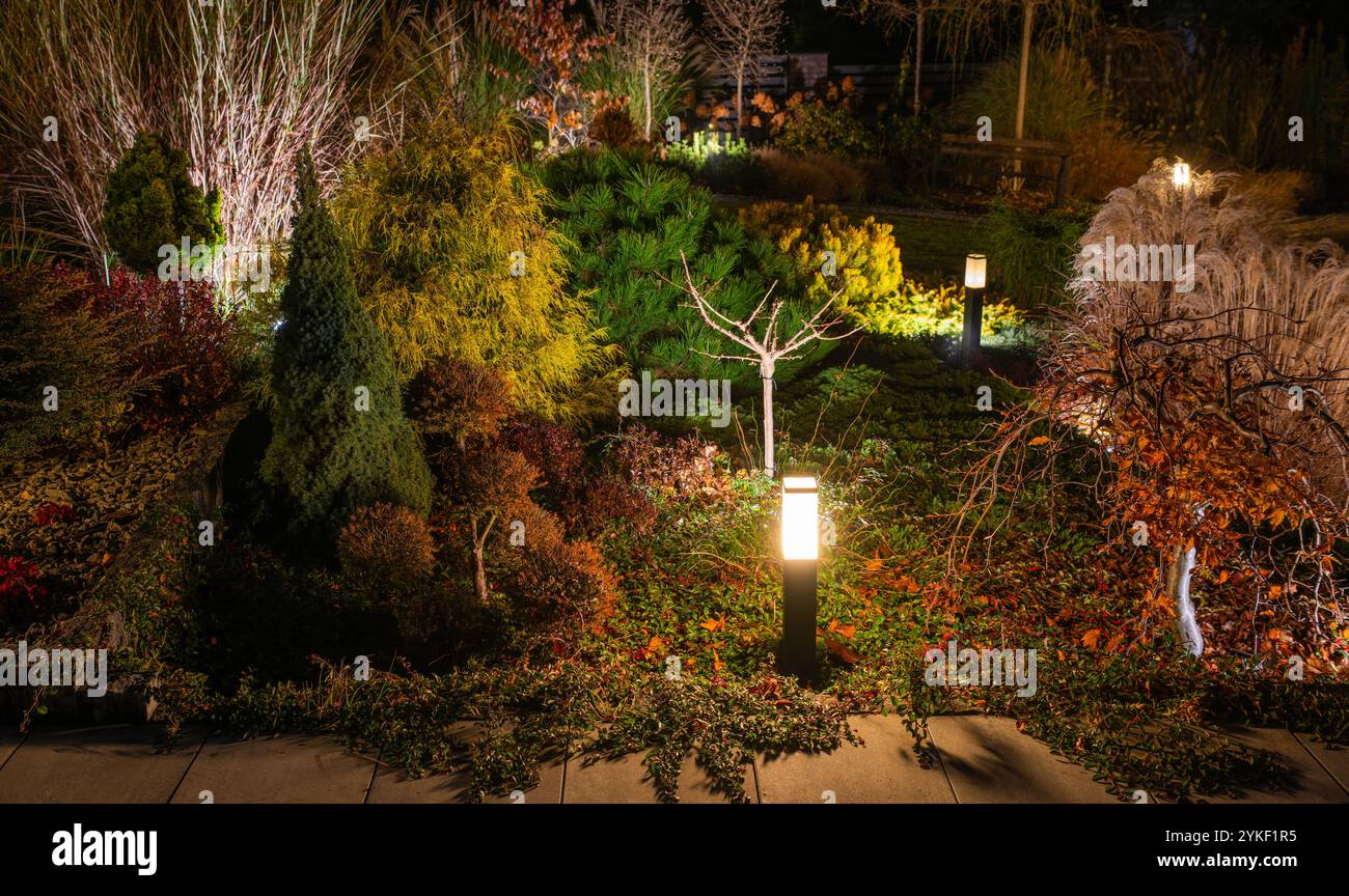 Il giardino si illumina di luce soffusa, mostrando fogliame e alberi diversi, creando un'atmosfera serena durante la notte. Foto Stock