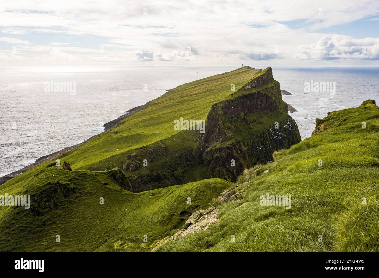 Paesaggio costiero di colline erbose con scogliere di Mykines Holmur nell'Oceano Atlantico settentrionale escursioni turistiche ed escursioni naturalistiche nelle Faroes Foto Stock