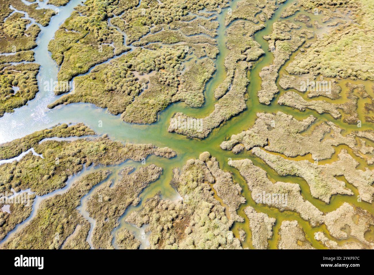 Un'immagine catturata dai droni mostra un vasto complesso paludoso meridionale, caratterizzato da serpeggianti canali d'acqua circondati da una lussureggiante vegetazione paludosa Foto Stock