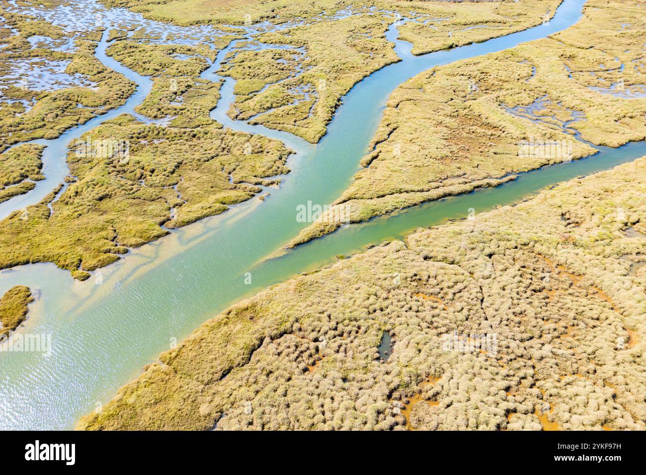 Un'immagine catturata dai droni mostra un vasto complesso paludoso meridionale, caratterizzato da serpeggianti canali d'acqua circondati da una lussureggiante vegetazione paludosa Foto Stock